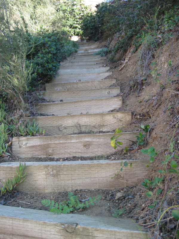 WALK WITH ME: Hollywood Hills