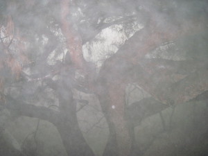 WALK WITH ME: Foggy Misty Rain