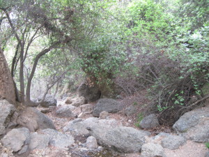 WALK WITH ME: Pacific Palisades
