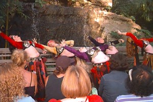 A WRITER'S JOURNEY: Catherine Cruzan (part 2)