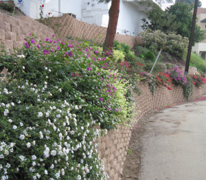 Solutions To Consider: Hillsides