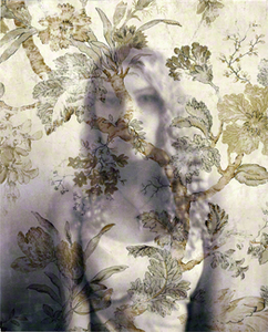 FASHION: Wall Flower Project by Janine Brown