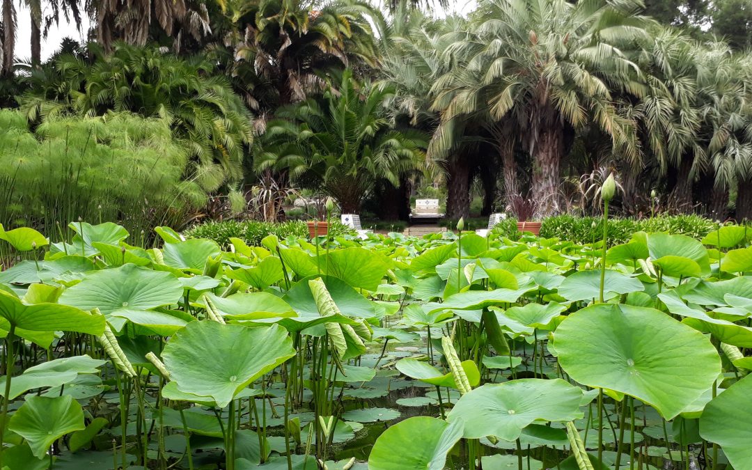 TRAVEL: Ventura and Santa Barbara Pleasures