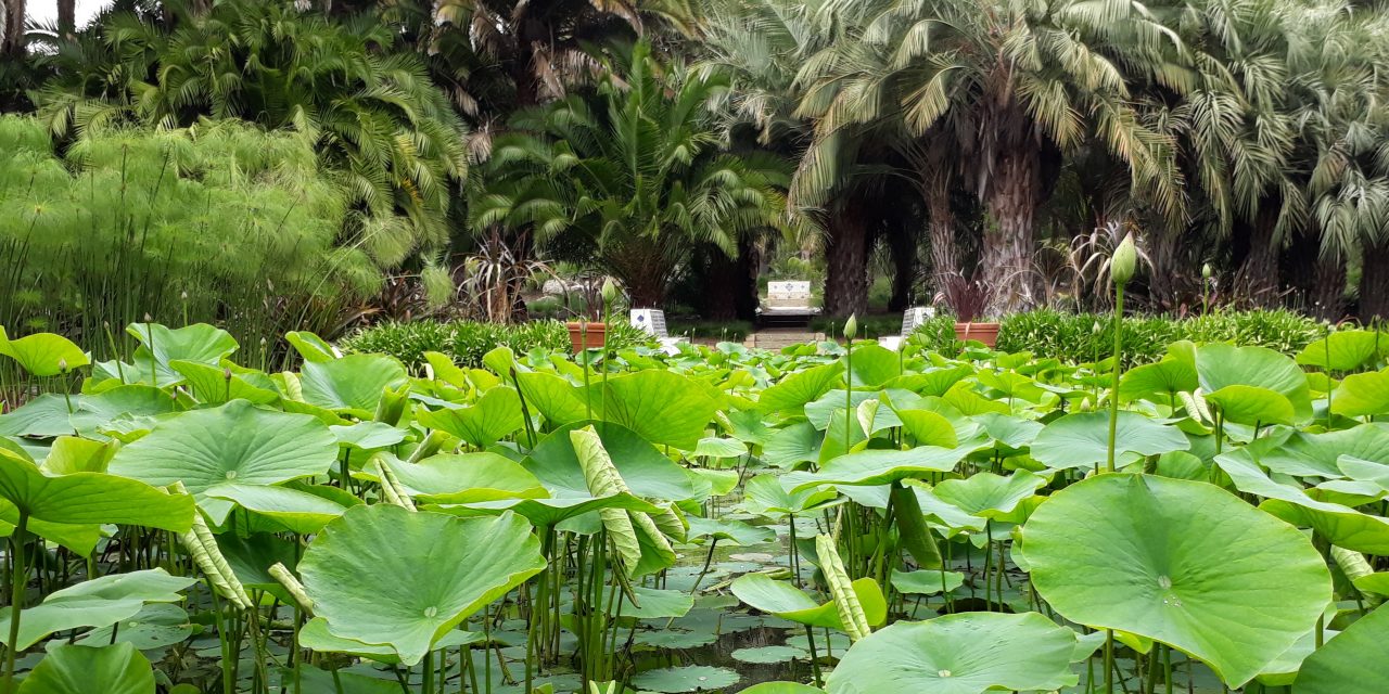TRAVEL: Ventura and Santa Barbara Pleasures