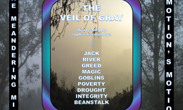 THE MEANDERING MIND: THE VEIL OF GRAY