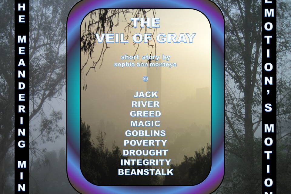 THE MEANDERING MIND: THE VEIL OF GRAY
