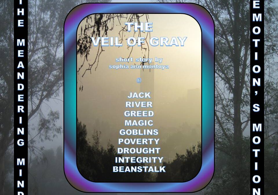 THE MEANDERING MIND: THE VEIL OF GRAY
